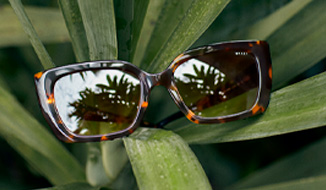 oculos oculos
